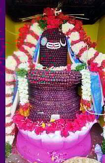 அத்தி விருட்ச சஹஸ்ர ருத்ராட்ச சிவலிங்கத்துக்கு கும்பாபிஷேகம்