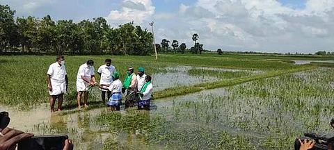 கொக்கலாடி பகுதியில் பயிர் சேதங்களை பார்வையிட்ட முதல்வர் பழனிசாமி.