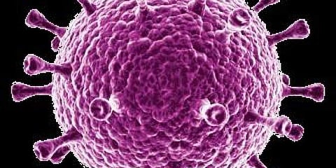 ஆஸ்திரேலியாவில் கரோனா வைரஸ் தொற்றுக்கு முதல் பலி