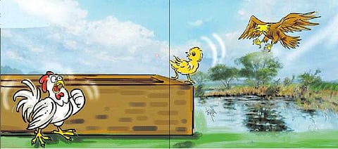 பொற்கொடி