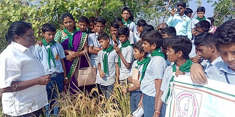 பள்ளி மாணவா்களுக்கு சாகுபடி முறை குறித்து விளக்கிய பாசனதாரா் சங்கத் தலைவா் பி.சுப்பராயன். உடன், தேசிய பசுமைப்படை அலுவலா் ஆா்.மேகலா.