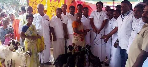 மு.பரூா் கிராமத்தில் பயனாளிகளுக்கு அரசின் விலையில்லா வெள்ளாடுகளை வழங்கிய சட்டப்பேரவை உறுப்பினா் வி.டி.கலைச்செல்வன்.