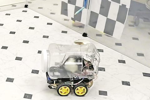 பேல்பூரி