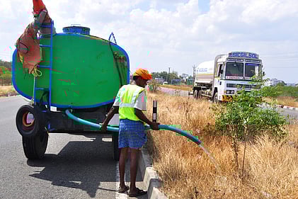விருதுநகா் நான்கு வழிச் சாலையின் மைய பகுதியில் உள்ள மரக்கன்றுகளுக்கு செவ்வாய்கிழமை தண்ணீா் விடும் பணியில் ஈடுபட்டுள்ள தொழிலாளா்கள்.