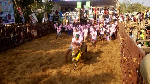 தஞ்சாவூர் அருகே நாஞ்சிக்கோட்டையில் 15 ஆண்டுகளுக்குப் பின் ஜல்லிக்கட்டு