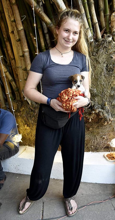 பெட் பேஷன் ஷோ