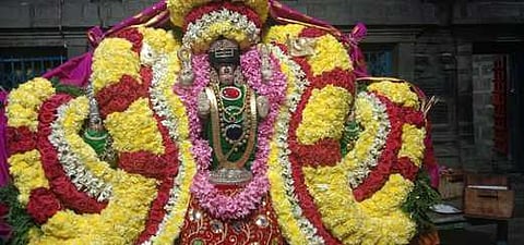 சிறப்பு அலங்காரத்தில்  வள்ளி, தெய்வானை சமேத முருகப்பெருமான்.