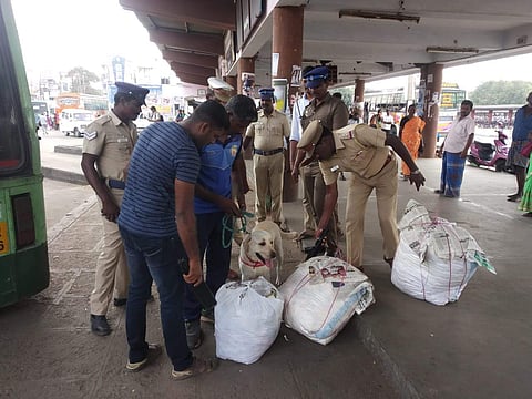 வெடிகுண்டு அழைப்பால் விழுப்புரம் பேருந்து நிலையத்தில் பரபரப்பு