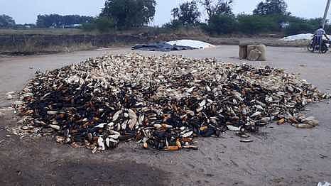 ஜமீன்தேவா்குளத்தில் களத்தில் வைக்கப்பட்டிருந்த மக்காச் சோளத்தில் ஏற்பட்ட தீ விபத்து.