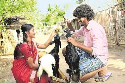 காதலை உணருங்கள் தோழர்களே!