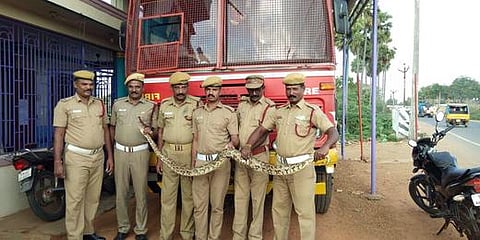 அரசூா் கிராமத்தில் சனிக்கிழமை பிடிபட்ட 20 அடி நீள மலைப்பாம்பு.