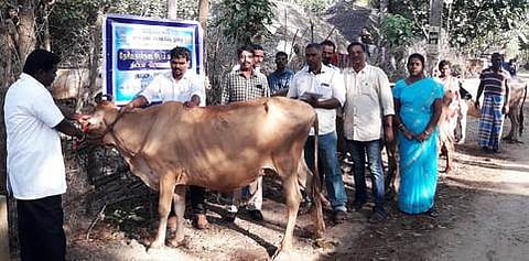 முகாமில் கால்நடைக்கு தடுப்பூசி போட்ட மருத்துவக் குழுவினா்.