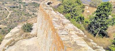 ஆம்பூர் வனச் சரக காப்புக் காட்டில் உயரமான மலைக் கோட்டை: சாலை வசதி ஏற்படுத்தினால் சுற்றுலாத் தலமாகும் வாய்ப்பு