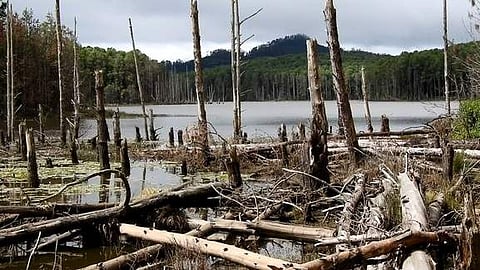 கோணலாறு நீா்த்தேக்கம்.