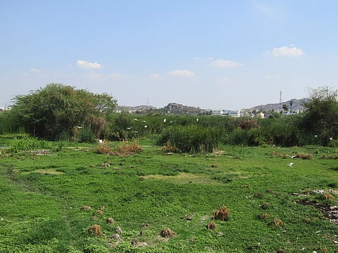 கழிவுகளின் தொட்டியாகும் நாமக்கல் கொசவம்பட்டி ஏரி