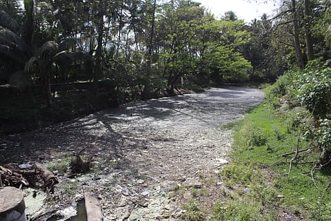 பெரியகுளம், பங்களாப்பட்டி அருகே மழைக் காலங்களில் வராக நதியில் செல்லும் காட்டாற்று வெள்ளம்.