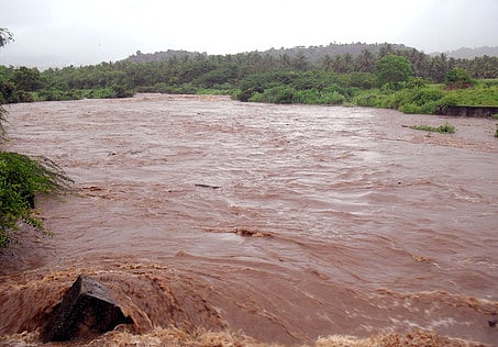மேகமலையில் குறையும் மழை வளம்-மூல வைகையில் வறட்சி: 5 மாவட்டங்களின் நீராதாரம் பாதிக்கப்படும் அபாயம்