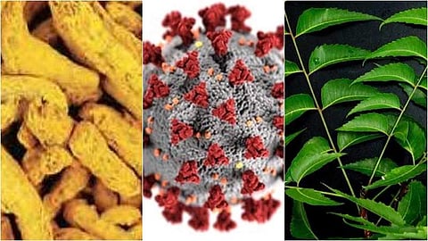 'மஞ்சளும் வேப்பிலையும் கரோனாவிலிருந்து காப்பாற்றாது'