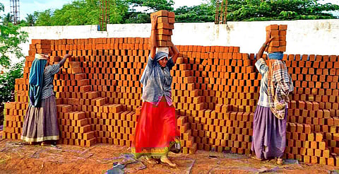 சேலம் எருமாபாளையத்தில் உள்ள செங்கல் சூலையில் வேலை செய்யும் பெண்கள்.