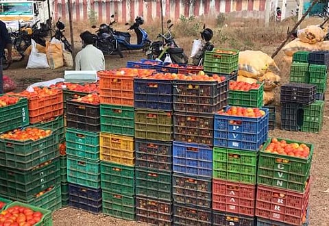 வீரபாண்டி தற்காலிக காய்கனி கமிஷன் மண்டியில் திங்கள்கிழமை விற்பனைக்குக் குவிக்கப்பட்டுள்ள காய்கனிகள்