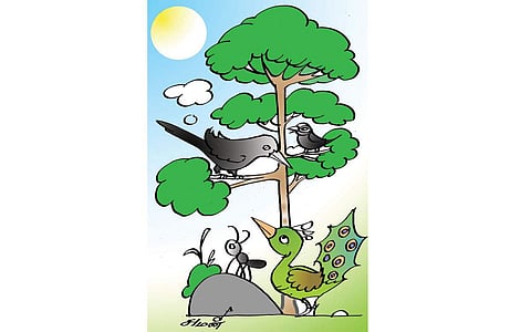 காக்கை  சொன்ன பாடம்!