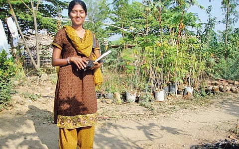 நாச்சாள்