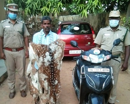 மான் தோலுடன் கைதான ராமச்சந்திரன்.