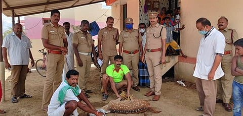 மல்லி -கம்மாபட்டி கிணற்றிலிருந்து மீட்ட புள்ளிமானை வனத்துறையினரிடம் திங்கள்கிழமை ஒப்படைத்த தீயணைப்புத் துறையினா்.