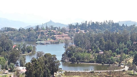 ஆரவாரமின்றி அமைதியாகக் காணப்படும் கொடைக்கானல் ஏரி.