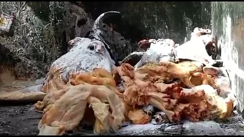 இறைச்சி.