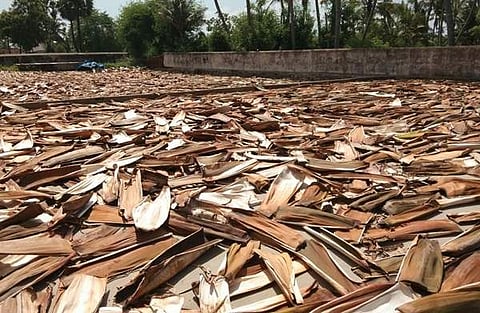 பாக்குமட்டைத் தட்டுகள் தயாரிப்பு தொழில் முடக்கம்: 10,000 பேர் வேலையிழப்பு