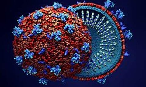 கர்நாடகத்தில் கரோனா பாதிப்பு 395 ஆக உயர்வு!
