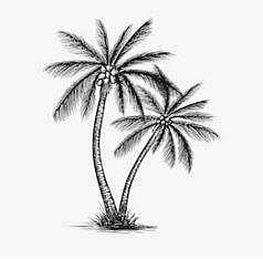 தாழையின் பொருள் தாழம்பூ அல்ல...!