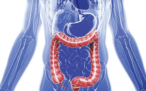 ஆயுள் காக்கும் ஆயுர்வேதம்: நீண்ட ஆயுளுக்கான ரகசியம்!