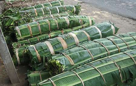 திருச்சி சோமரசம்பேட்டையில் விற்பனைக்கு அனுப்புவதற்காக, விவசாயிகள் கட்டுகளாகக் கட்டிவைக்கப்பட்டுள்ள வாழை இலைகள்.