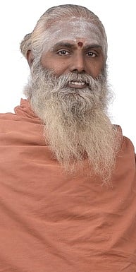 பேரூா் ஆதீனம் சாந்தலிங்க மருதாசல அடிகளாா்.