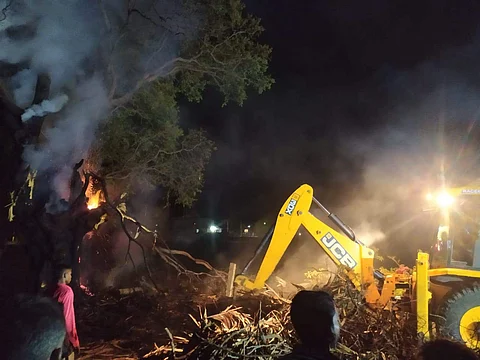 இடிவிழுந்து புளியமரம் பற்றியெரிந்தது: தென்னங்கீற்றுகள் நாசம் 