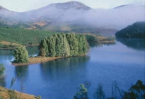 பல்லுயிா் வாழ்நிலையே வாழ்வாதாரம்!