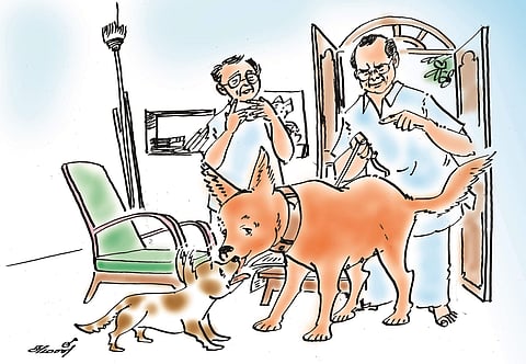 நாய் வளர்த்த கதை!