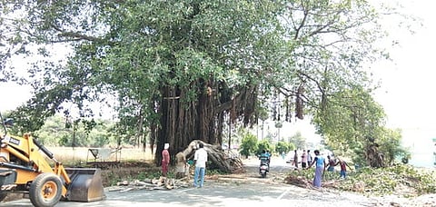 ராசிபுரம்-சேலம் சாலையில், சாலை விரிவாக்கப் பணிக்காக மரத்தை அப்புறப்படுத்தும் பணியில் ஈடுபட்ட தொழிலாளா்கள்.