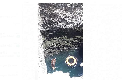 வீரகனூரில் கிணற்றில் தவறி விழுந்த மான் மீட்பு