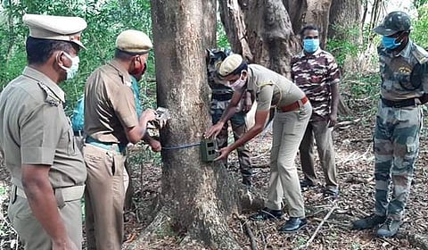 அந்தியூர் வனப்பகுதியில் தானியங்கி கேமரா பொருத்தும் பணியில் ஈடுபட்டுள்ள வன ஊழியர்கள்.