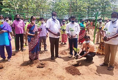 அந்தியூர் பேரூராட்சி அலுவலக வளாகத்தில் திராட்சை செடிகள் நடும் பணியில் ஈடுபட்டுள்ள ஊழியர்கள்.