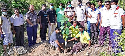 சங்ககிரி மலையில் மரக்கன்றுகள் நடும் விழா