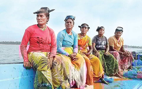 கடலில் மூச்சடக்கி.... கரையேறத்துடிக்கும் மகளிர்!