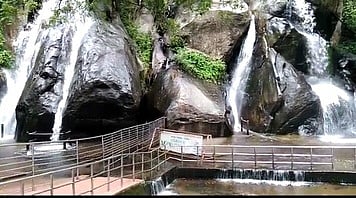 குற்றாலம் ஐந்தருவியில் நான்கு கிளைகளில் கொட்டும் தண்ணீா்.