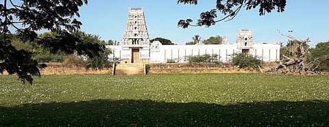 ஆகாயத்தாமரை செடிகள் மண்டிக் கிடக்கும் பிரம்மபுரீஸ்வரா் கோயில் குளம்.