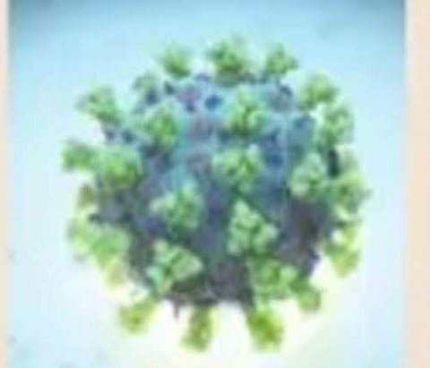 13,737 people infected with corona in Odisha