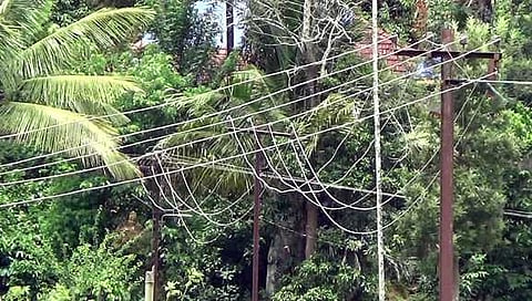 மின் கம்பிகள்