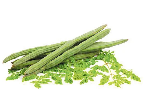 முருங்கைக்கே முதலிடம்!